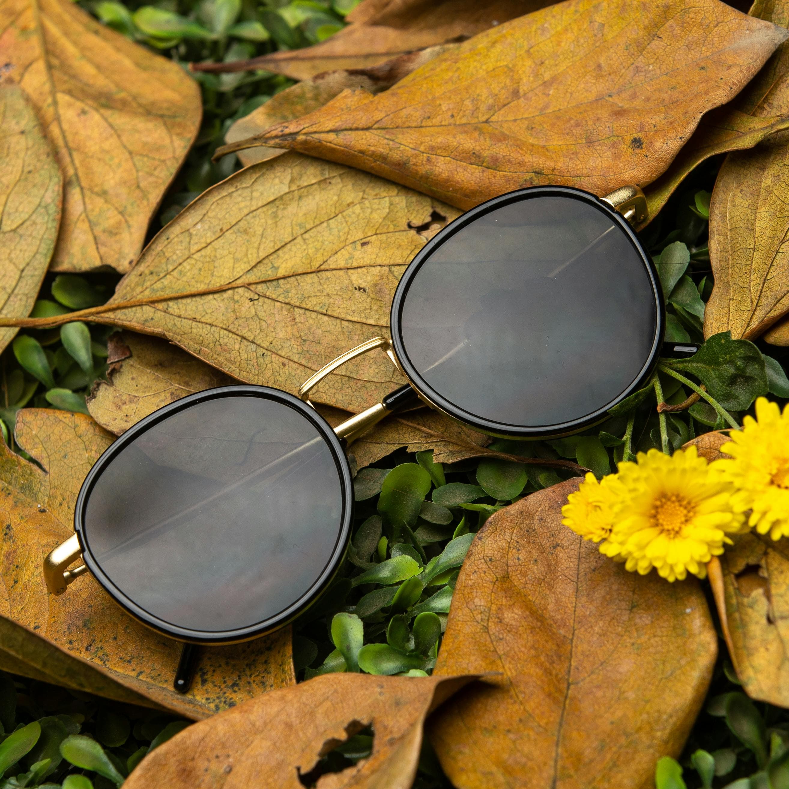 Luxury Sunglasses